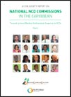 A civil society report on national NCD Commissions in the Caribbean towards a more effective multisectoral response to NCDs